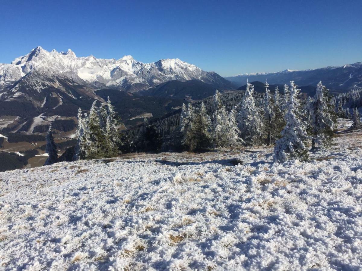 Chalets Almidylle Sankt Martin am Tennengebirge Exterior foto
